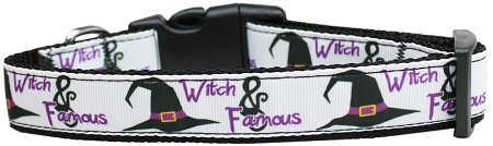 Witch and Famous Nylon Dog Collar XS